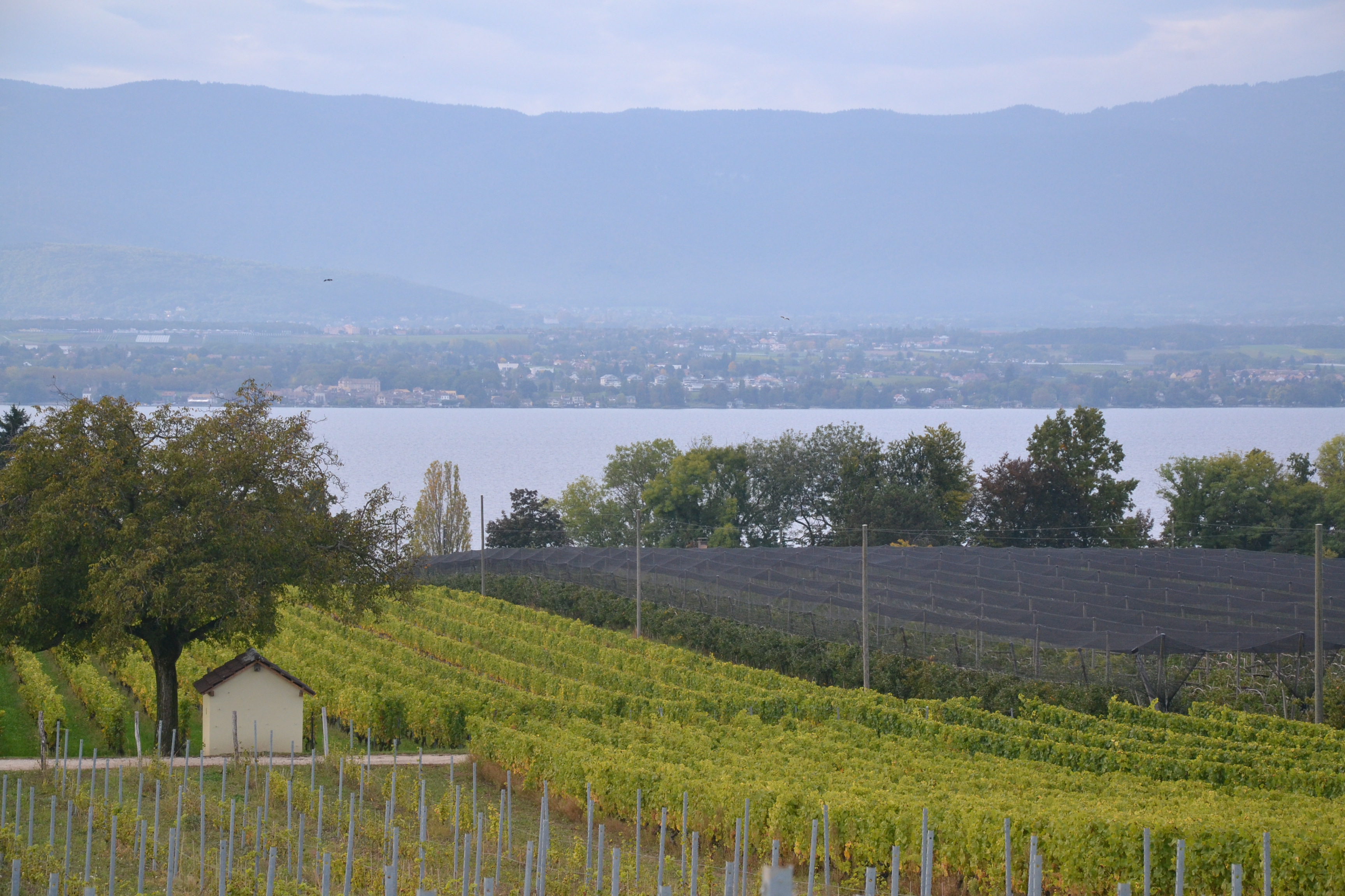 Plombier Léman Dépannage en intervention